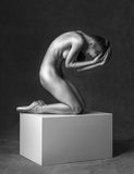 Sculptural Art Nude Workshop March 15