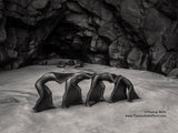 Lanzarote May 4-8 2027 : 5 days Exclusive Art Nude workshop