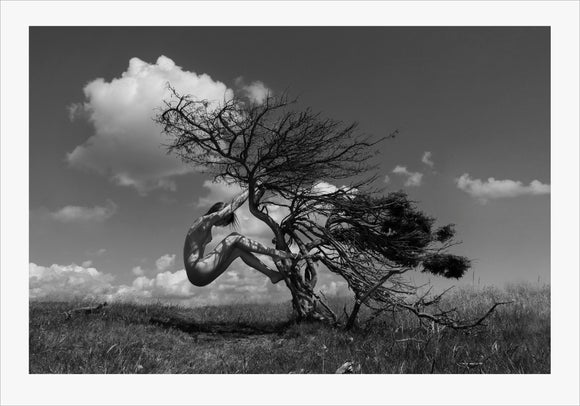 TH2014-1365 - Earth Tree, [product_type) - Thomas Holm Photography - CommandoArt.com