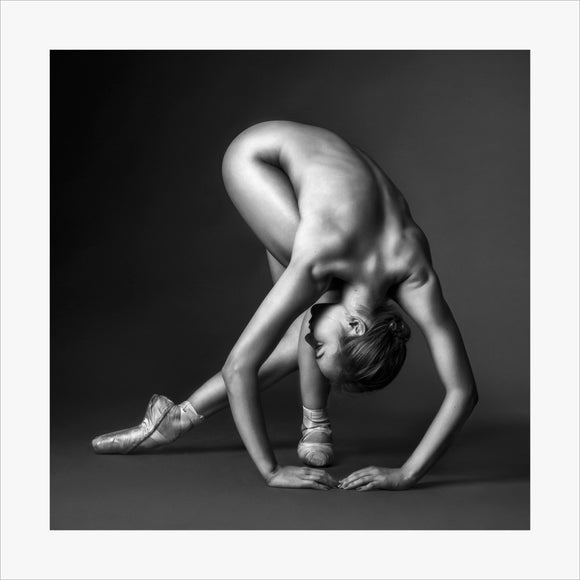 TH2016-1823 - Ballerina Stories, [product_type) - Thomas Holm Photography - CommandoArt.com