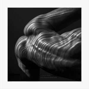 TH2019-2882 - Gluteus Maximus Abstractus, [product_type) - Thomas Holm Photography - CommandoArt.com